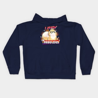 We are fabulous - Cute Pomeranian Dog - B*tch please - I know I'm fabulous Kids Hoodie